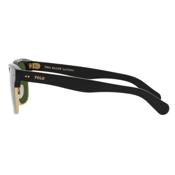 PH4202 500171 Sunglasses