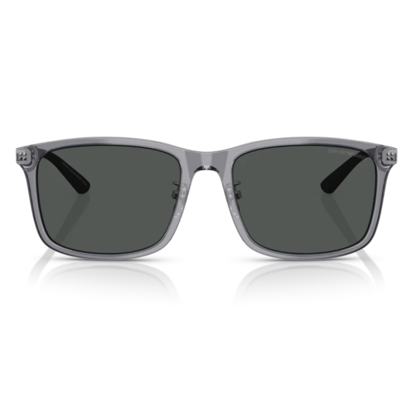 EA4241D 501787 Sunglasses