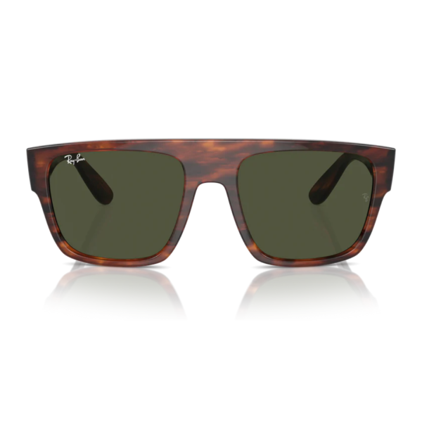 RB0360S 954/31 Sunglasses