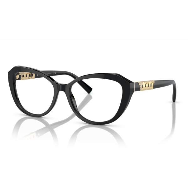 TF2241B 8001 Eyeglasses