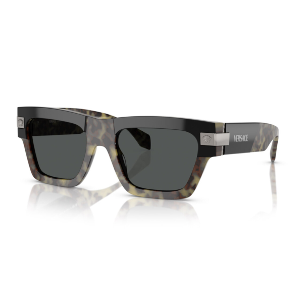 VE4464 545687 Sunglasses