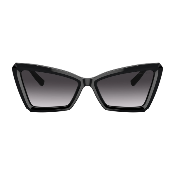 TF4203 80013C Sunglasses