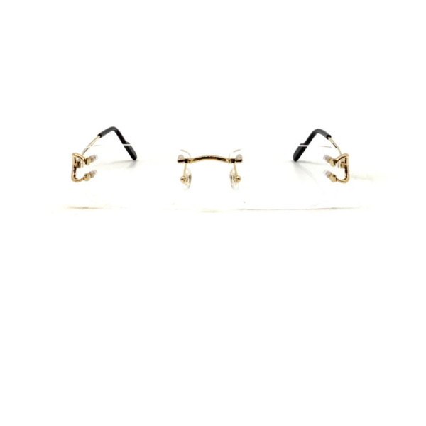 Cartier CT0344 (001) Eyeglasses